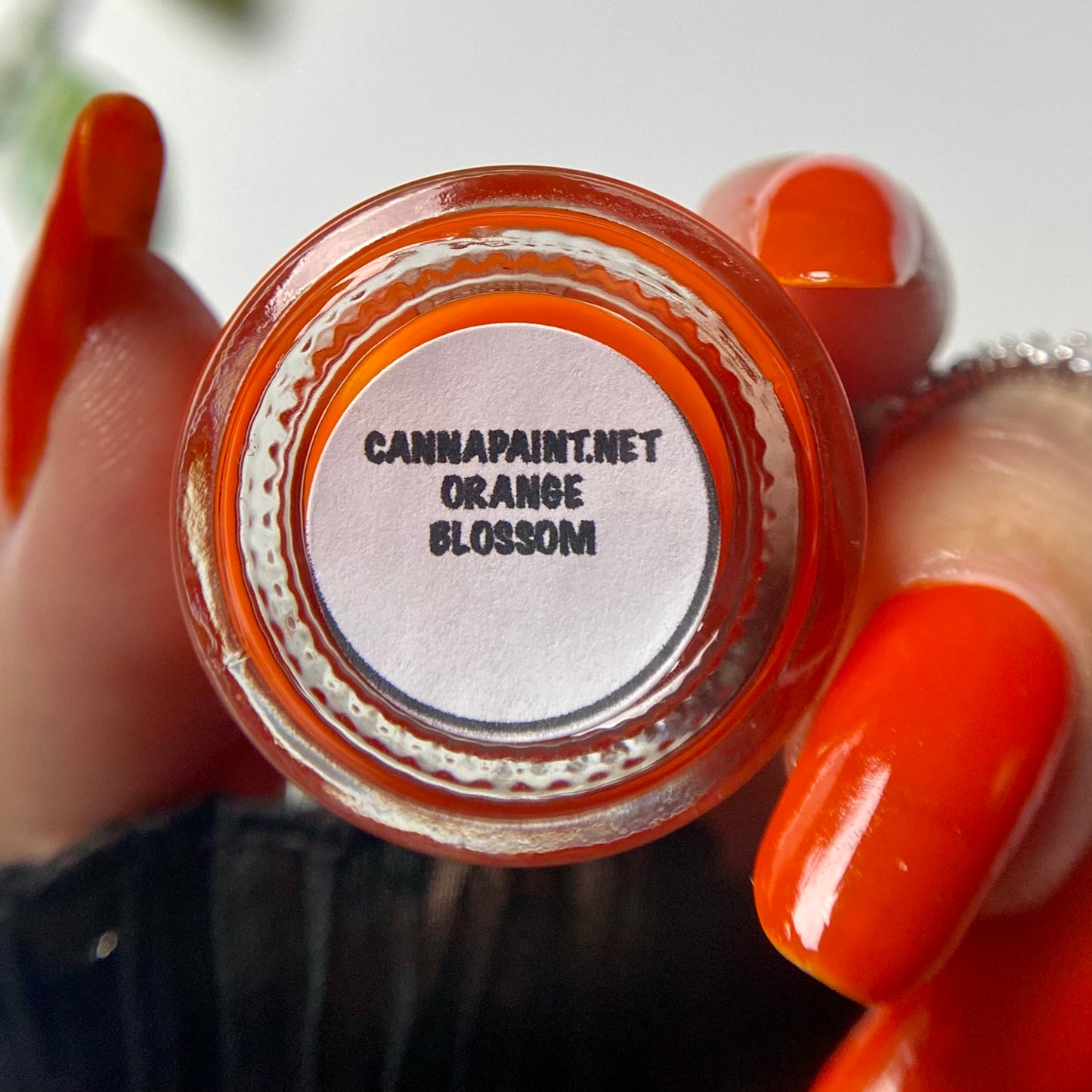 Orange Blossom