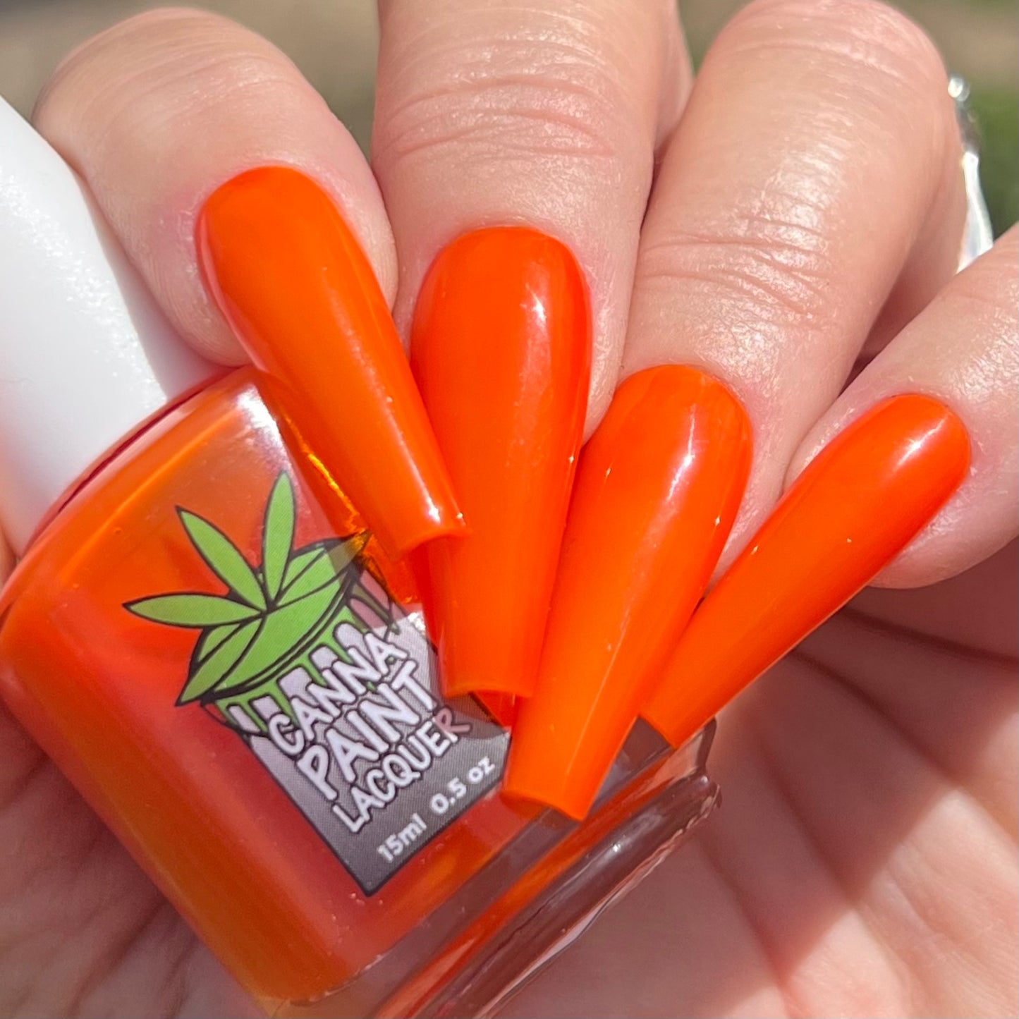 Orange Blossom